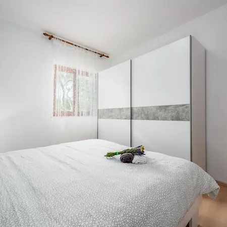 5235-5 In Apartamento Drenje (Istria)